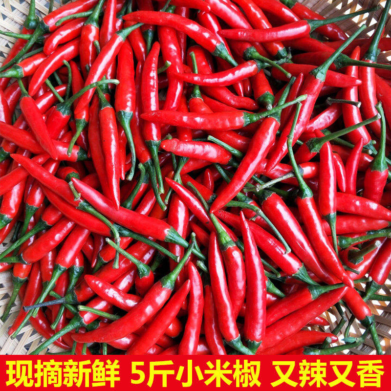 小米椒和红辣椒一样吗,红辣椒青辣椒,一个红辣椒_大山谷图库