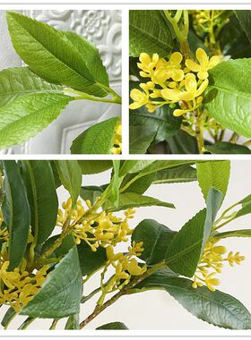 仿真桂花树叶假束摆件有意义