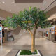 Simulated tea tree green plant fake tree bonsai