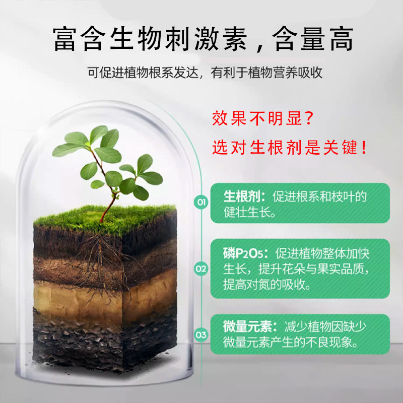 大树移栽专用生根粉果树扦插强力生根剂花卉移植营养液肥料通用型,淘宝优惠券,粉丝福利购,淘宝优惠卷