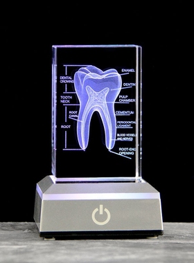 水晶牙齿模型医学院医生礼物诊所摆件口腔门诊摆件口腔前台摆件