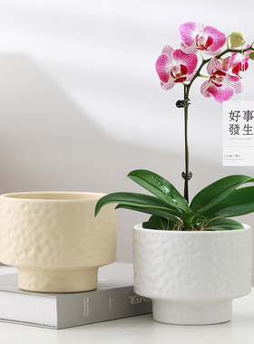 客厅简约花盆陶瓷家居饰品创意小摆件桌面家用绿萝工艺品摆设装饰
