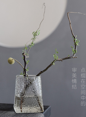 创意容器植物水养客厅小摆件花瓶