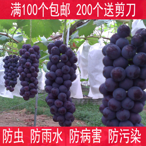 葡萄专用套袋露天葡萄袋子葡萄纸袋巨峰葡萄套袋防虫防鸟防雨包邮 - 图1