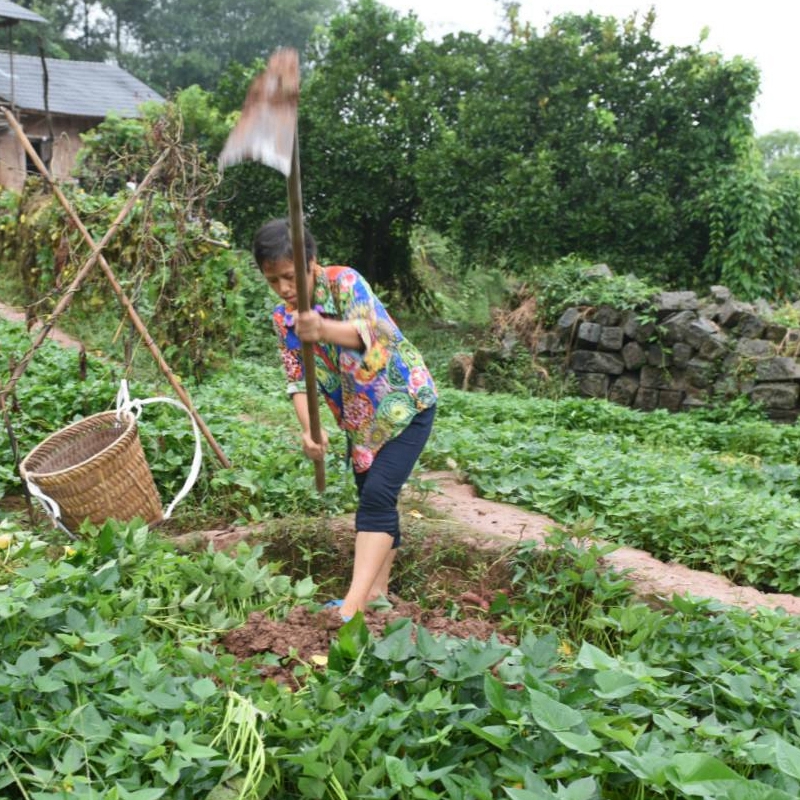 买二送一 重庆农家传统手工红薯淀粉滑肉芡粉红苕豆粉 500克 包邮 - 图0