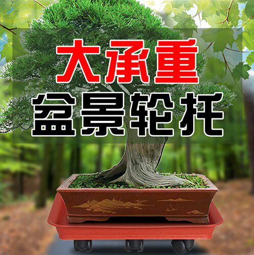 超大加厚承重万向轮可移动盆景花盆长方形接水托盘移动托盘包邮 - 图1
