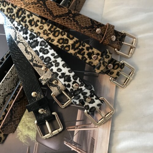 豹纹皮带女士新款休闲百搭潮流时尚个性学生配裙子裤腰带y2k装饰 - 图2