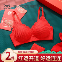 Cat person lingerie suit Benn year bride Poly Woo No Steel Ring Small Chest Display Great Dragon Year Gift Box Briefs Bra