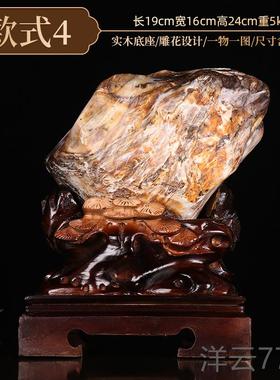 高档缅赏甸树化玉原件石摆天然冰种硅化木木化景石奇石客厅观石观