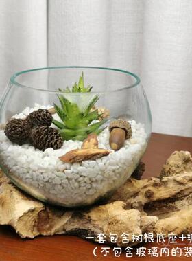 高档沉木枯木创意个性草绿插萝铜钱玻璃培花 禅意水 新中式小鱼缸