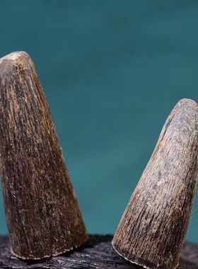 天然披毛犀角角尖鱼籽纹清晰天然养生角尖碎料泡茶泡酒养生送礼品