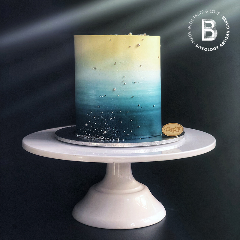 BITEOLOGY【星空】C012 创意网红儿童生日蛋糕 北京上海同城配送 - 图2