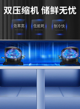 星崎冰箱低温大容量冷藏冷冻