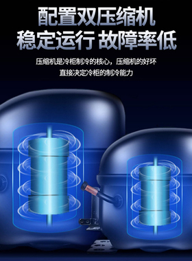 穗凌冷柜卧式玻璃门大容量