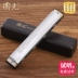 Shanghai Guoguang Echo Harmonica 24 lỗ Accent C Áo dài Sơ cấp Học sinh Giới thiệu trẻ em Người lớn tự học Nhạc cụ - Nhạc cụ phương Tây Nhạc cụ phương Tây