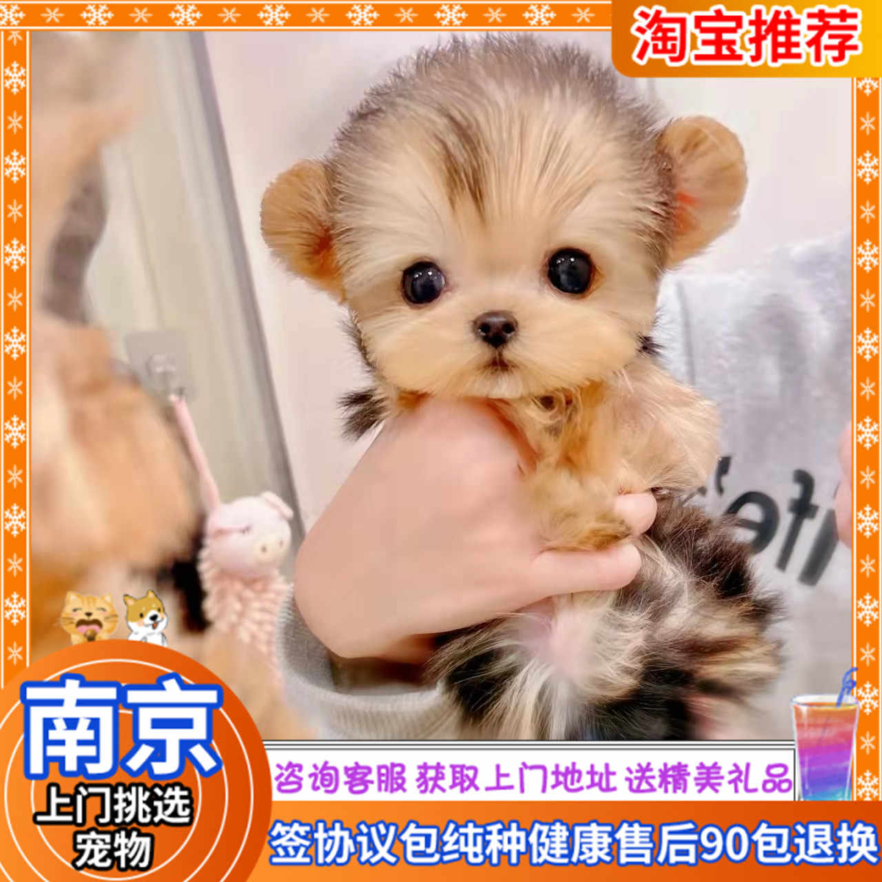 市場 犬 かわいい 冬 秋 春 おもしろ 夏 チョンボ 大型犬 小型犬 おしゃれ 中型犬 エクステ 国産 市場 犬 かわいい 冬 秋 春 おもしろ 夏 チョンボ 大型犬 小型犬 おしゃれ 中型犬 エクステ 国産