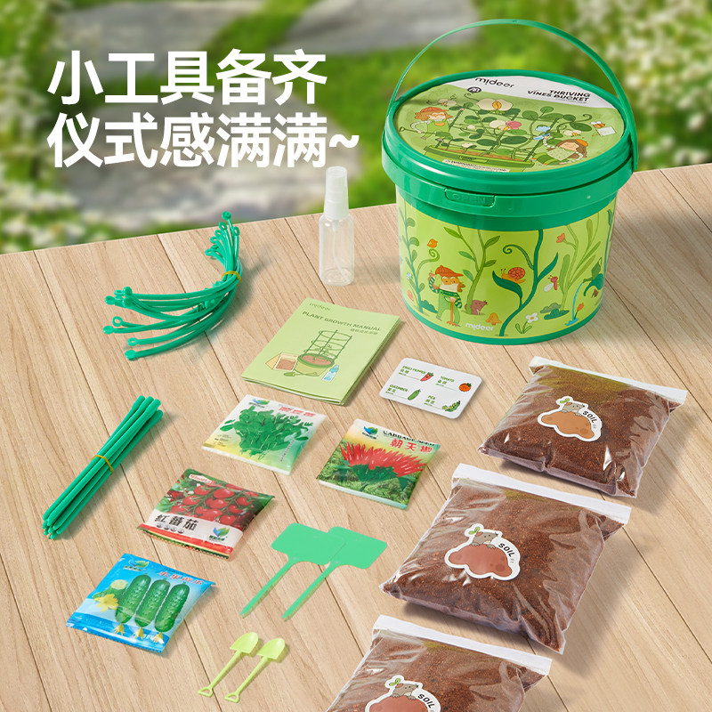 mideer弥鹿攀爬桶儿童植物种植盆栽阳光房生长观察盒科学实验玩具