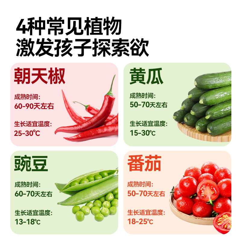 mideer弥鹿攀爬桶儿童植物种植盆栽阳光房生长观察盒科学实验玩具