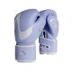 BN Boxing Gloves Adult Muay Thai Sanda Sandbag Gloves