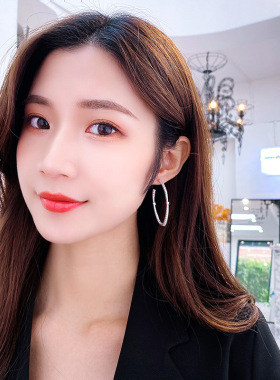 韩国个性时尚流苏夸张微镶锆石925银针圈圈耳环女几何椭圆耳圈