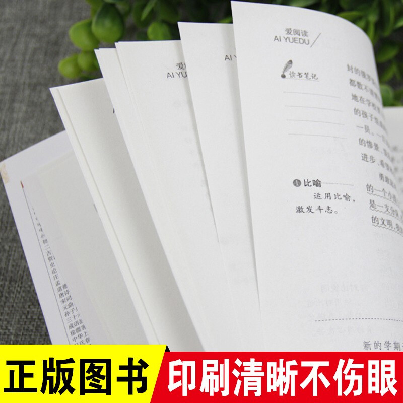 孔乙己 鲁迅经典必读正版原著 小学生课外阅读书籍老师推荐课外书四年级至六年级五6七年级小升初读本儿童文学读物杂文集SX - 图3