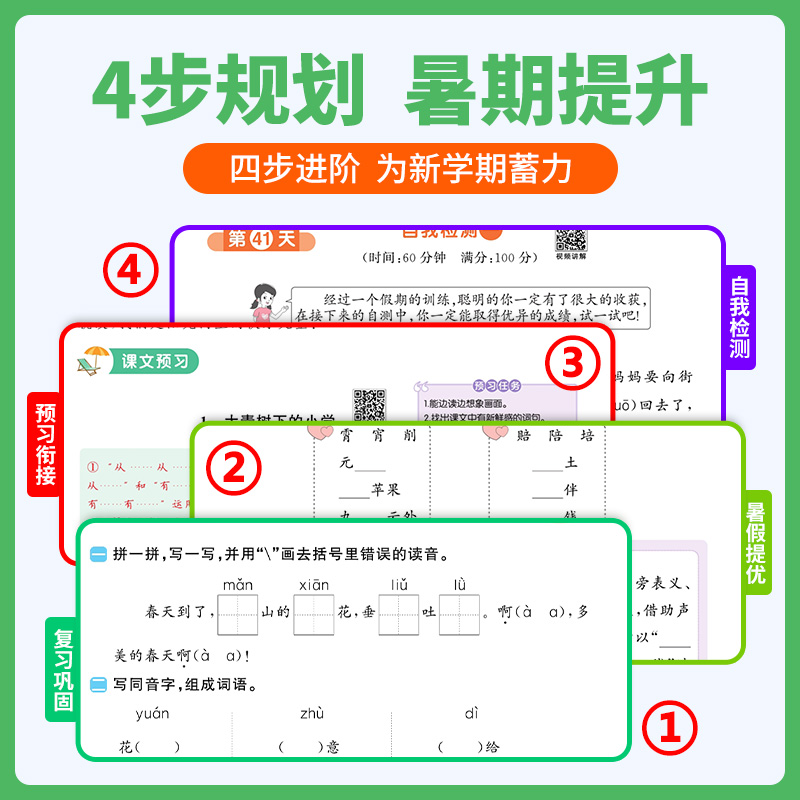 2024版阳光同学暑假衔接二升三小学二年级2升3暑假作业语文数学全套人教版RJ苏教版SJ北师大BS 升学衔接作业练习册专项训练 - 图1