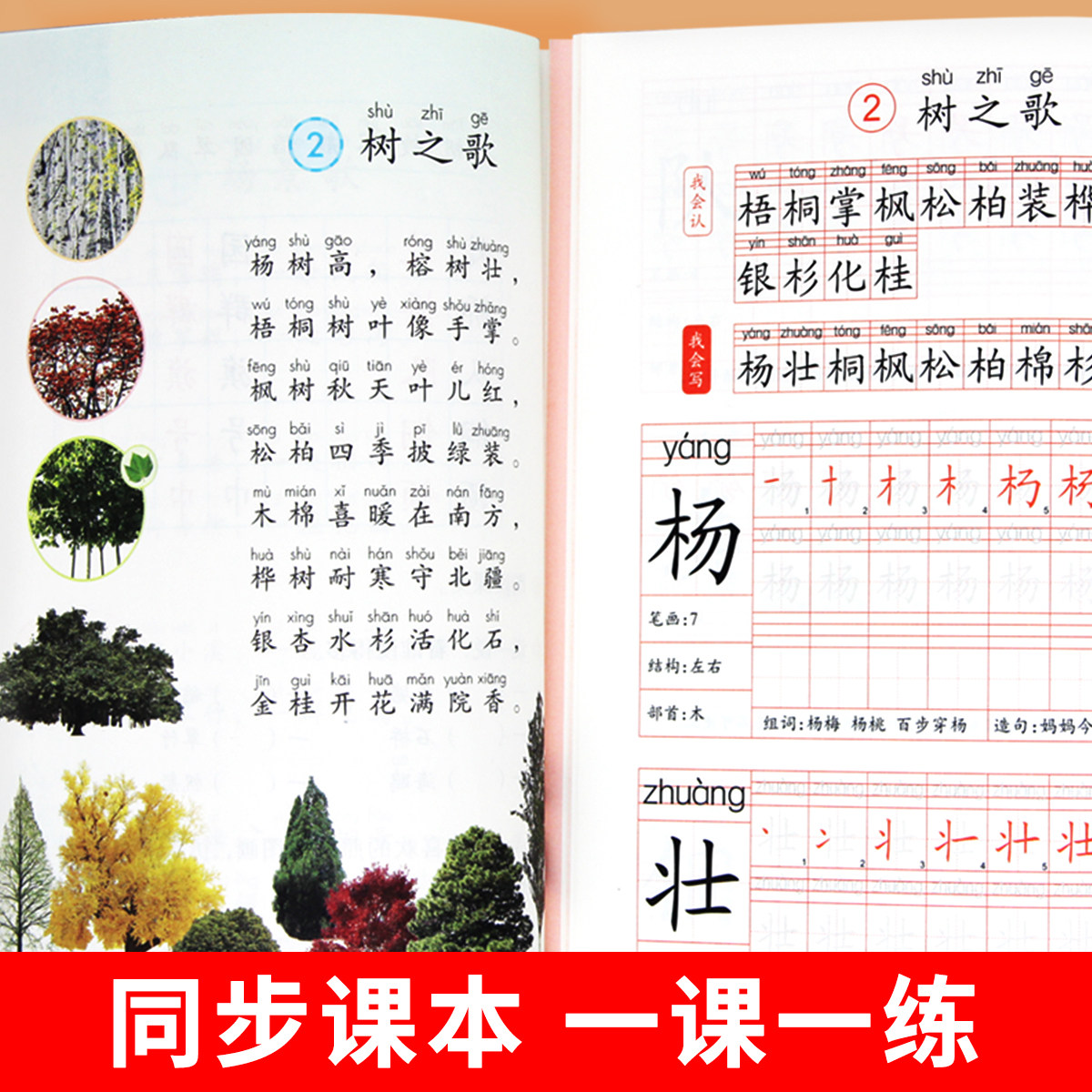 二年级上册跟着课文写汉字 语文同步练字帖每日一练小学生专用楷书正楷练习2年级上描红临摹控笔训练人教版课本儿童练字专项训练RJ