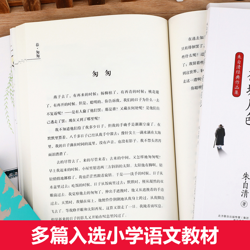 朱自清散文集全套5册 经典常谈荷塘月色背影朱自清散文精选全集春匆匆语文杂谈桨声灯影里的秦淮河 小学生五六七八年级课外读本 - 图1