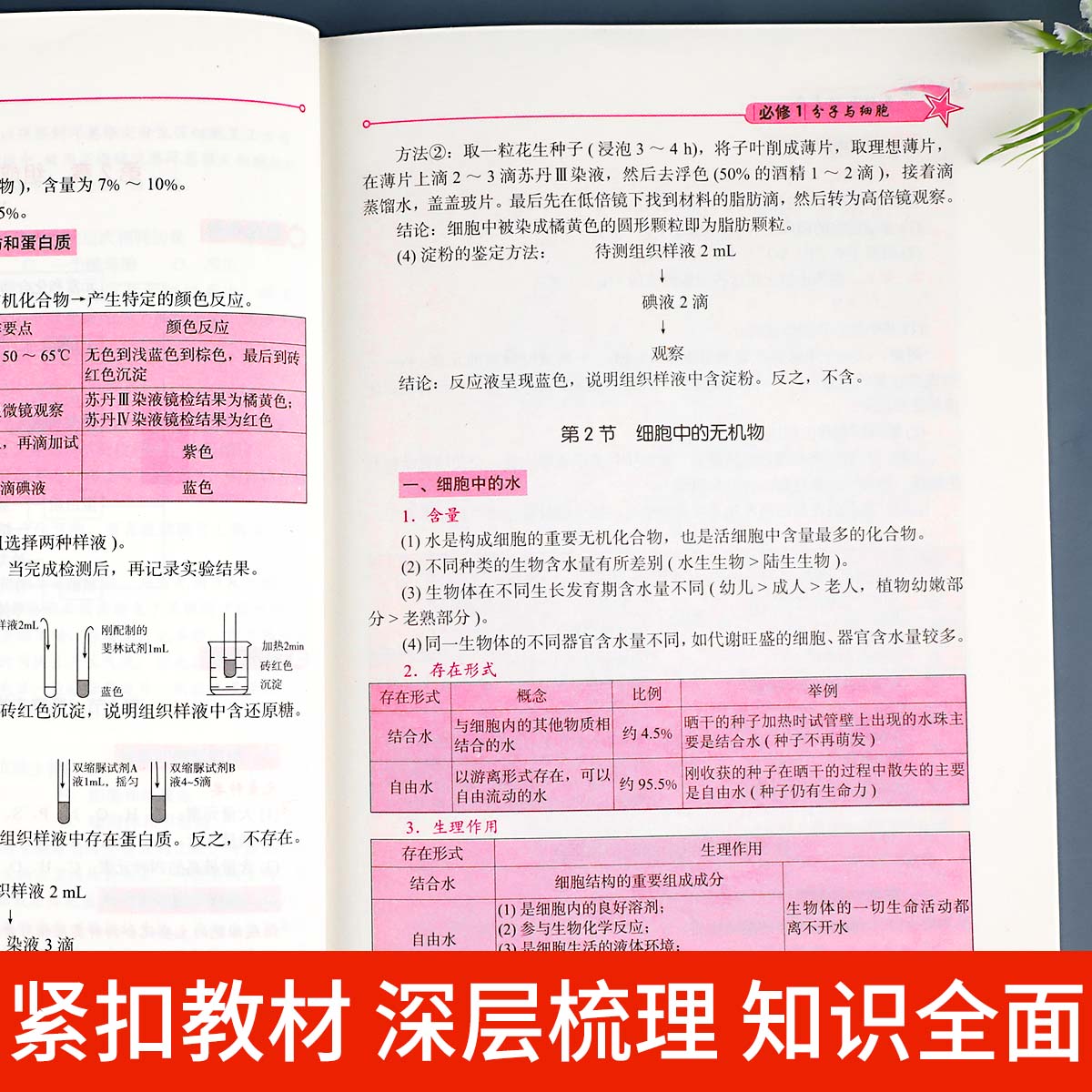 2024新版 高中生物基础知识手册大全人教版通用 高一高二高三高考总复习同步教材教辅资料知识清单工具书全套抢分宝典高中辅导书zj - 图2