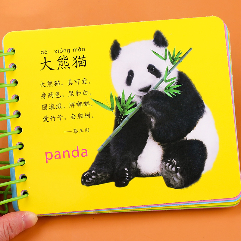 动物世界翻翻卡 婴幼儿认知早教启蒙识物卡 0-1-2-3岁宝宝书本早教撕不烂全脑开发书籍 彩色卡片圈圈书动物卡片 - 图1