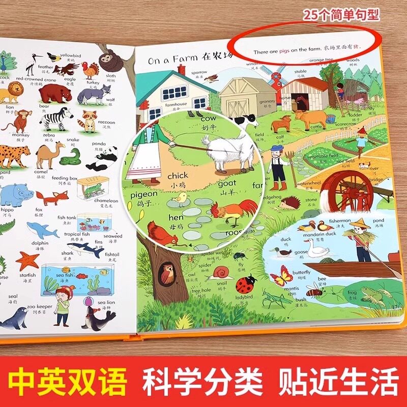 儿童英语单词大书 幼儿英语启蒙绘本 幼儿园自然拼读教材3-4-5—6岁亲子阅读老师推荐中班大班适合三四五岁宝宝学英文分级阅读书籍