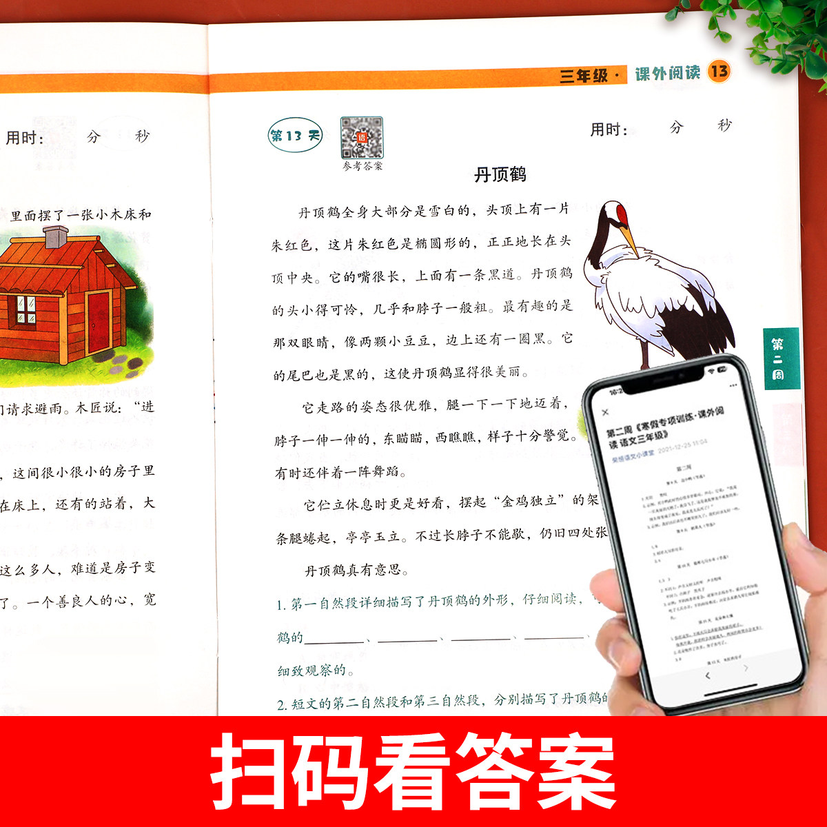 老师推荐】三年级寒假阅读 语文阅读理解训练题人教版每日一练小学3年级上/下寒假衔接练习上册下册专项强化训练书课外阅读书籍RJ