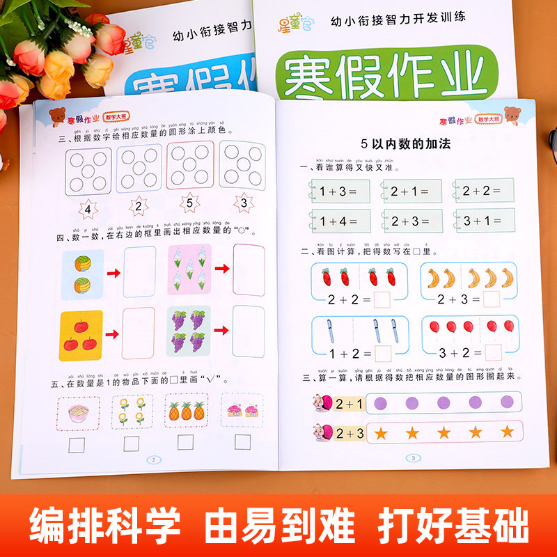 幼儿园大班寒假作业 幼儿中班大班练习册全套寒假衔接一本通练习题 语文拼音数学思维启蒙训练早教书籍儿童幼儿学习教材天天练