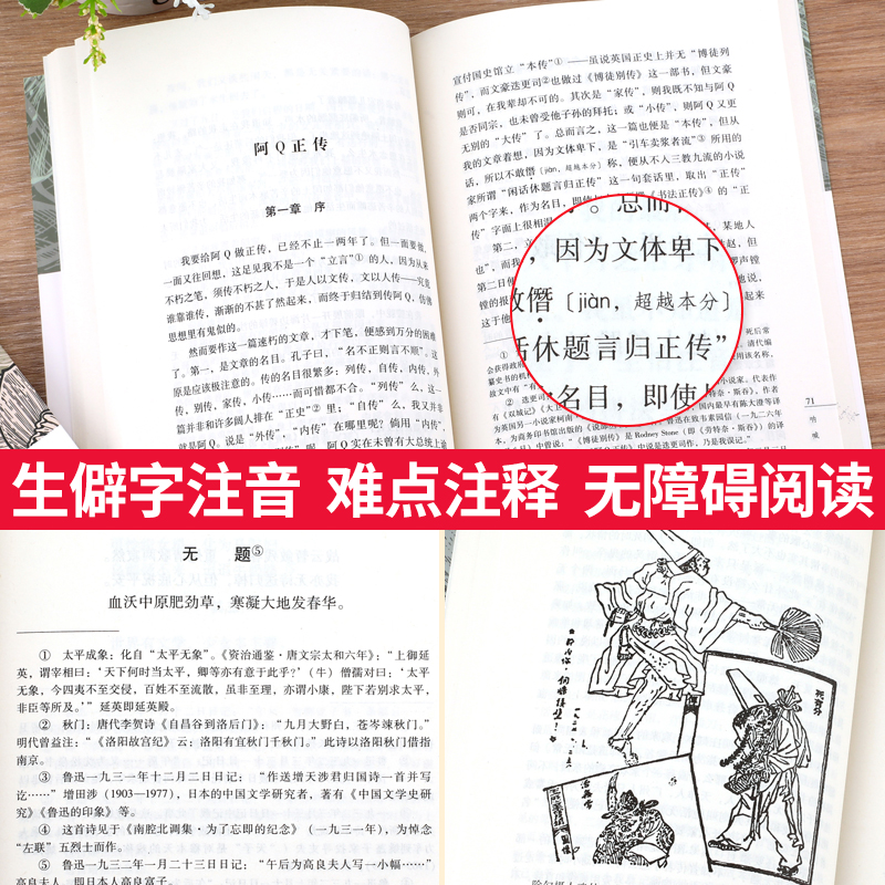 全10册鲁迅全集原著正版六七年级必读书初中课外阅读书籍朝花夕拾狂人日记故乡呐喊彷徨阿Q正传孔乙己小说经典作品集杂文初中生的-图2