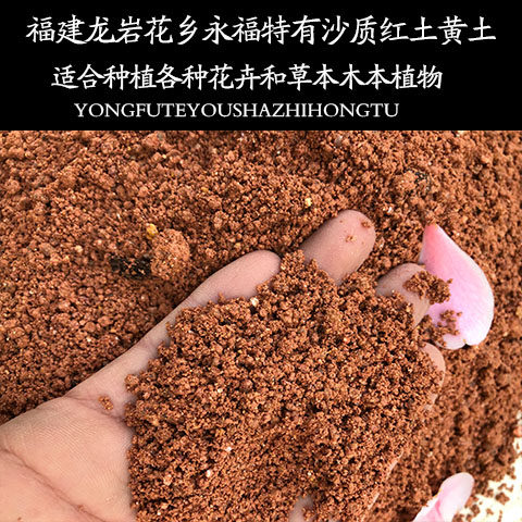 沙质红土弱酸性黄土花泥通用型营养土种植绿植菜盆栽家用有机土壤 - 图2