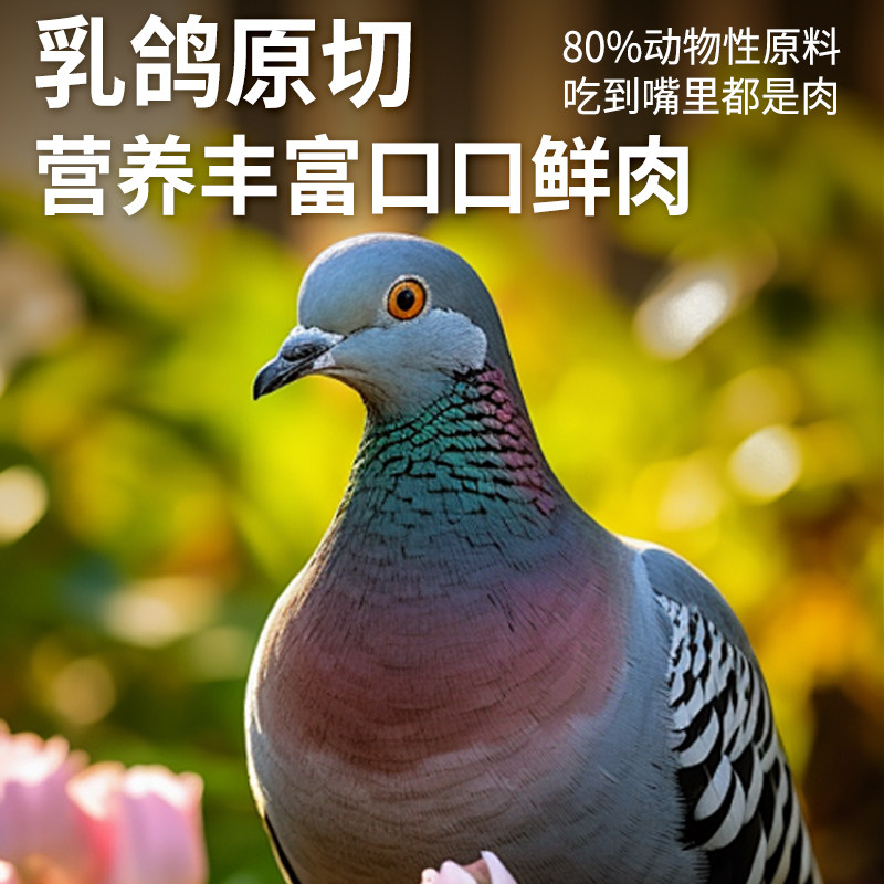 【狸花猫专用】英拿流浪猫狸花猫粮烘焙乳鸽鲜鸡肉全价营养高蛋白,淘宝优惠券,粉丝福利购,淘宝优惠卷