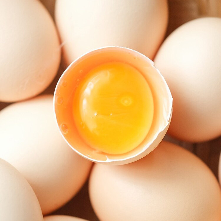 几天发一次｜乌骨土鸡蛋40枚味道香浓大部地区顺丰冷链包邮,淘宝优惠券,粉丝福利购,淘宝优惠卷