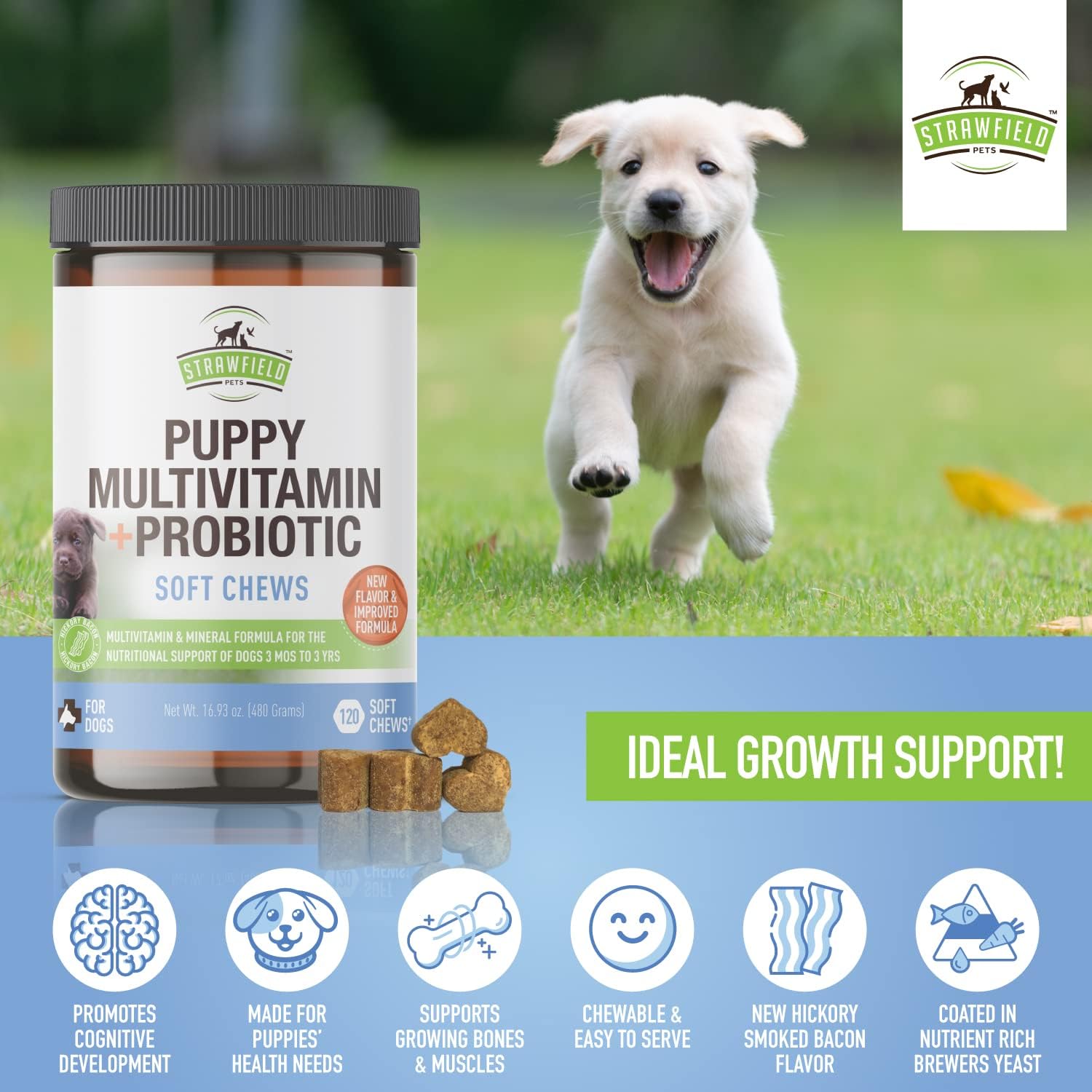 美国直邮Strawfield Pets' Puppy Multivitamin 小狗维生素益生菌 - 图0