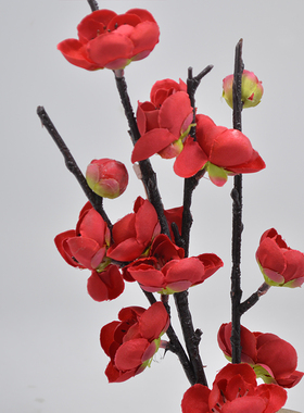 餐厅菜品摆盘意境风围边桃花
