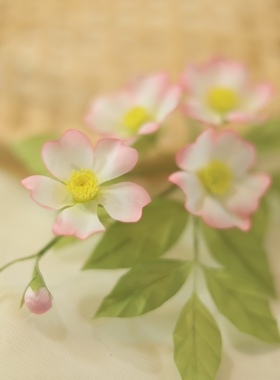 原创烫花发簪 野蔷薇发簪 非遗绢花 造花 汉服配饰 古风发簪