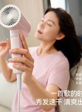 朗威吹风机家用负离子护发大功率