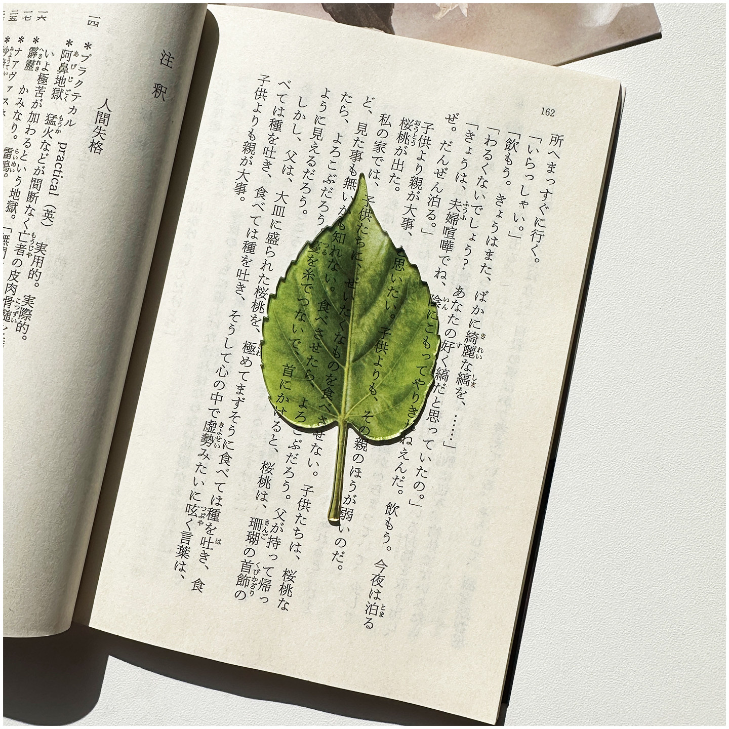 ins原创复古文艺绿色叶子书签树叶亚克力高颜值透明精致可爱透卡,淘宝优惠券,粉丝福利购,淘宝优惠卷