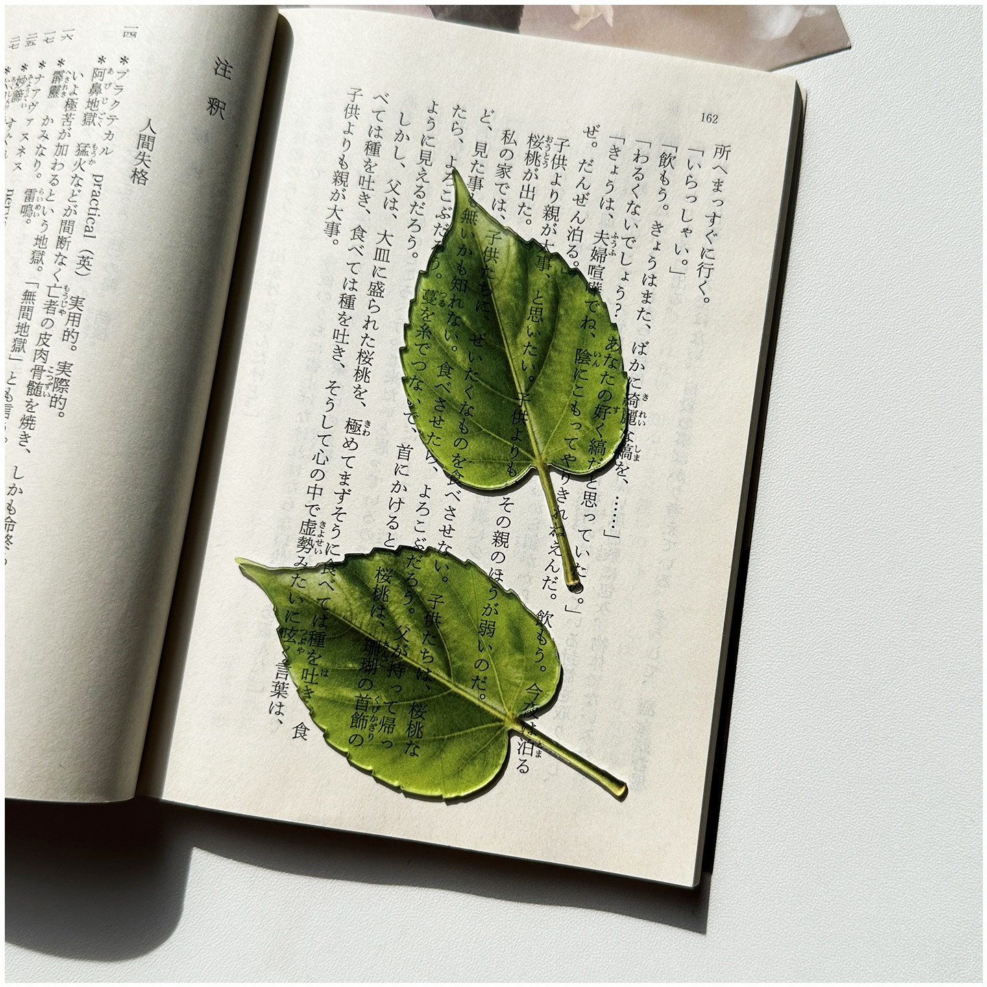 ins原创复古文艺绿色叶子书签树叶亚克力高颜值透明精致可爱透卡,淘宝优惠券,粉丝福利购,淘宝优惠卷