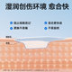 Zhende Anshida alginate dressing debridement sinus tract large wound filling absorbing exudate gel wet healing