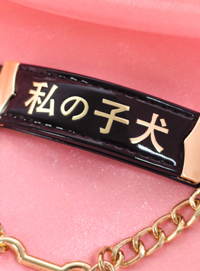 定制刻字中文小狗骨头项圈牵引绳