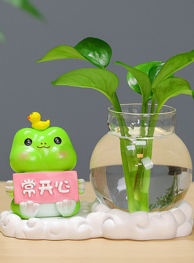 水培摆件莫生气办公室中式家居桌面装饰绿植花瓶室内感小摆件