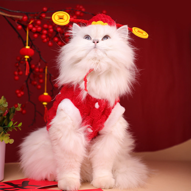 财神帽猫咪新年战袍过年喜庆红装宠物狗狗过年服饰招财猫帽子头套,淘宝优惠券,粉丝福利购,淘宝优惠卷