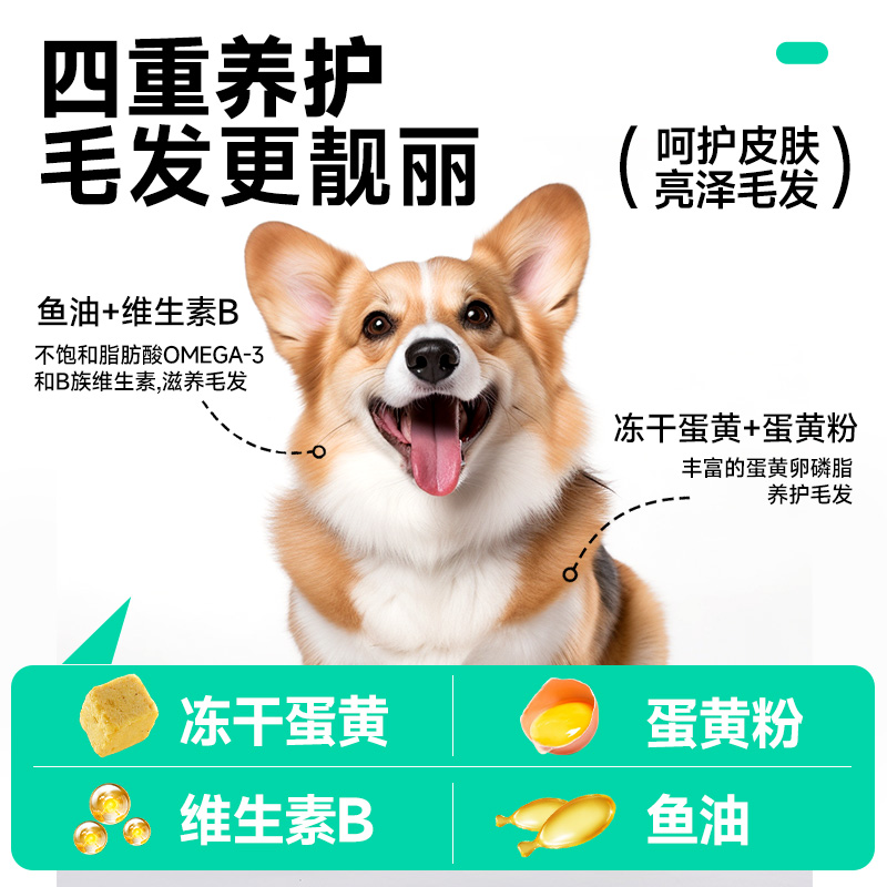 凯锐思狗粮柯基专用通用中小型犬柯基犬粮40斤