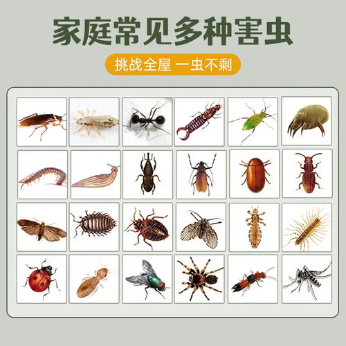 帮科博克灭蟑王喷雾剂跳蚤潮虫蜈蚣蟑螂药环保高效除德国小蠊包邮 - 图2