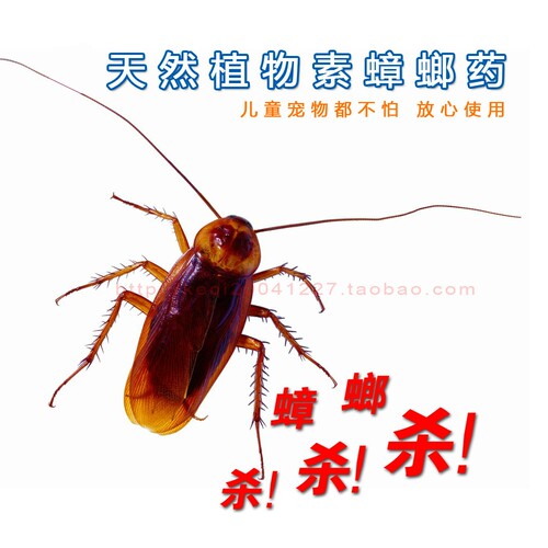 螂平1号蟑螂药5g装杀德国小蠊高效环保小孩宠物灭蟑饵剂螂平一号 - 图0